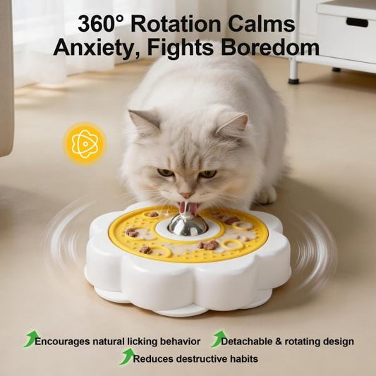 5 Signs Your Cat Needs a Slow Feeder Bowl