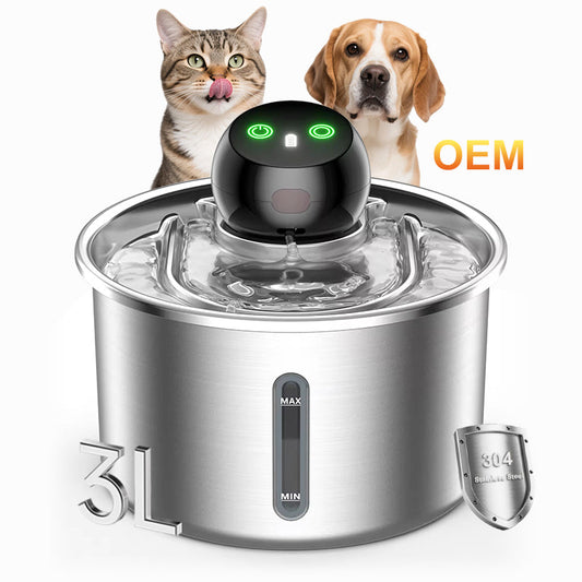 Why a Wireless Pet Fountain Keeps Your Cat Healthier