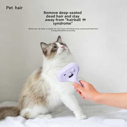 3-in-1 Steamy Cat Brush - Electric Spray Massage Comb