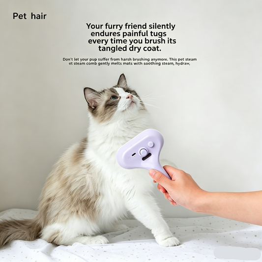 Stop Cat Hair From Taking Over Your Home